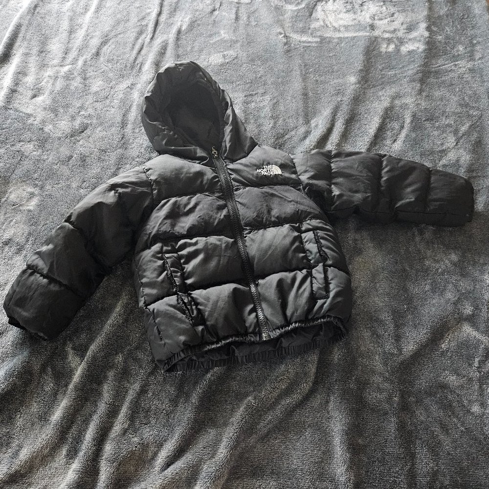 2T 550 Northface Puffer